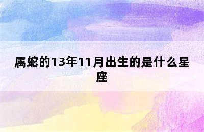 属蛇的13年11月出生的是什么星座