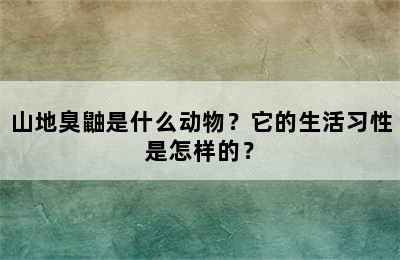 山地臭鼬是什么动物？它的生活习性是怎样的？