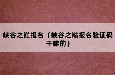 峡谷之巅报名（峡谷之巅报名验证码干嘛的）