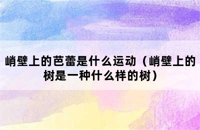 峭壁上的芭蕾是什么运动（峭壁上的树是一种什么样的树）