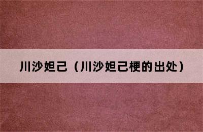 川沙妲己（川沙妲己梗的出处）