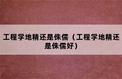 工程学地精还是侏儒（工程学地精还是侏儒好）