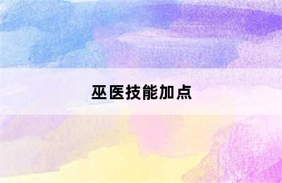 巫医技能加点