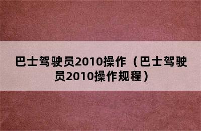 巴士驾驶员2010操作（巴士驾驶员2010操作规程）