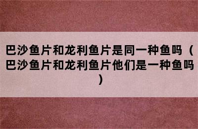 巴沙鱼片和龙利鱼片是同一种鱼吗（巴沙鱼片和龙利鱼片他们是一种鱼吗）