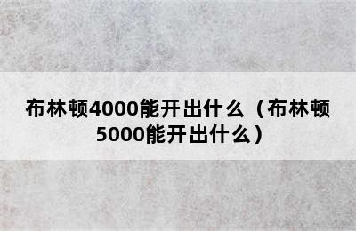 布林顿4000能开出什么（布林顿5000能开出什么）