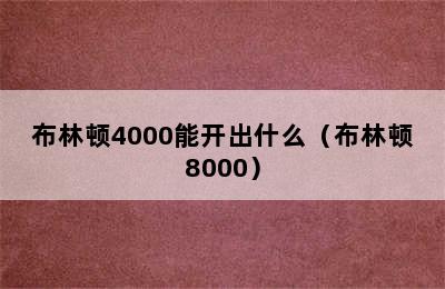 布林顿4000能开出什么（布林顿8000）