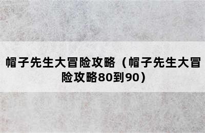 帽子先生大冒险攻略（帽子先生大冒险攻略80到90）