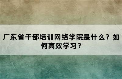 广东省干部培训网络学院是什么？如何高效学习？