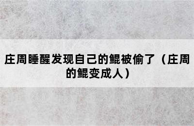 庄周睡醒发现自己的鲲被偷了（庄周的鲲变成人）