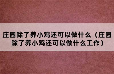 庄园除了养小鸡还可以做什么（庄园除了养小鸡还可以做什么工作）