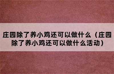 庄园除了养小鸡还可以做什么（庄园除了养小鸡还可以做什么活动）