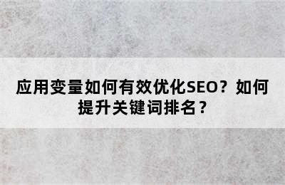 应用变量如何有效优化SEO？如何提升关键词排名？