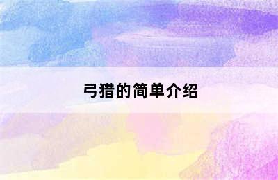 弓猎的简单介绍