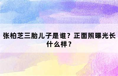 张柏芝三胎儿子是谁？正面照曝光长什么样？