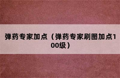 弹药专家加点（弹药专家刷图加点100级）