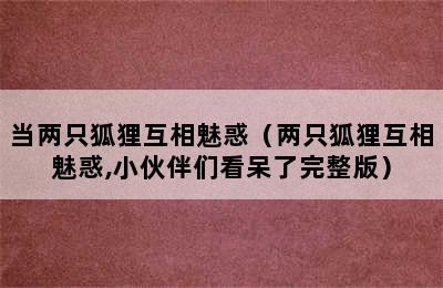 当两只狐狸互相魅惑（两只狐狸互相魅惑,小伙伴们看呆了完整版）