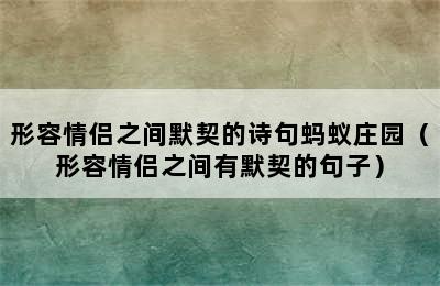 形容情侣之间默契的诗句蚂蚁庄园（形容情侣之间有默契的句子）