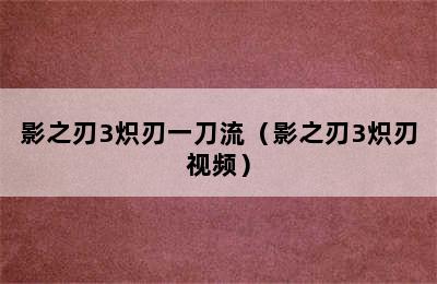 影之刃3炽刃一刀流（影之刃3炽刃视频）