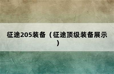 征途205装备（征途顶级装备展示）