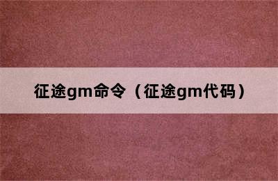 征途gm命令（征途gm代码）