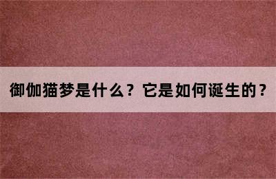 御伽猫梦是什么？它是如何诞生的？