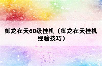 御龙在天60级挂机（御龙在天挂机经验技巧）