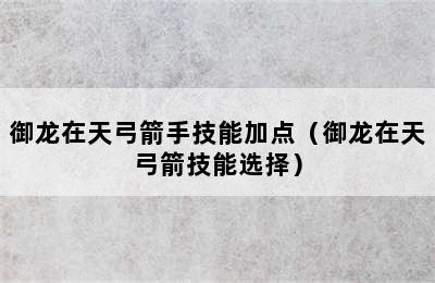 御龙在天弓箭手技能加点（御龙在天弓箭技能选择）