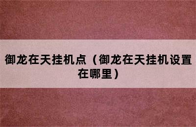 御龙在天挂机点（御龙在天挂机设置在哪里）