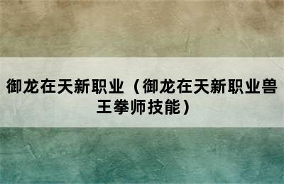 御龙在天新职业（御龙在天新职业兽王拳师技能）