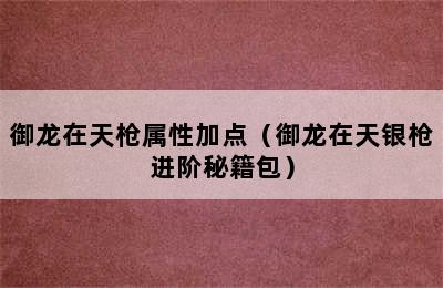 御龙在天枪属性加点（御龙在天银枪进阶秘籍包）