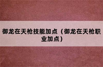 御龙在天枪技能加点（御龙在天枪职业加点）