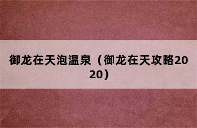 御龙在天泡温泉（御龙在天攻略2020）