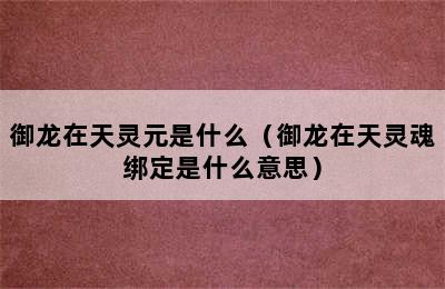 御龙在天灵元是什么（御龙在天灵魂绑定是什么意思）