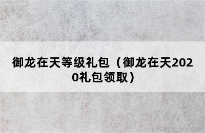 御龙在天等级礼包（御龙在天2020礼包领取）