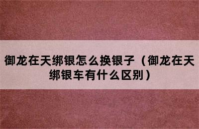 御龙在天绑银怎么换银子（御龙在天绑银车有什么区别）