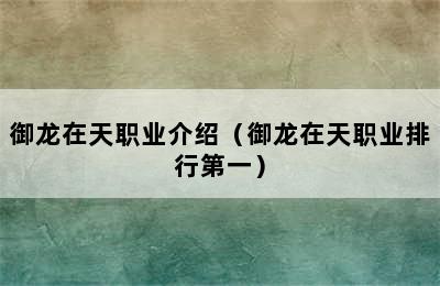 御龙在天职业介绍（御龙在天职业排行第一）