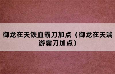 御龙在天铁血霸刀加点（御龙在天端游霸刀加点）