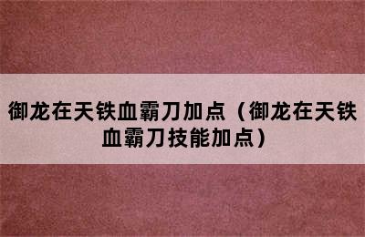 御龙在天铁血霸刀加点（御龙在天铁血霸刀技能加点）