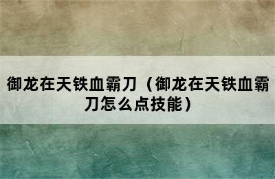 御龙在天铁血霸刀（御龙在天铁血霸刀怎么点技能）