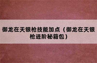 御龙在天银枪技能加点（御龙在天银枪进阶秘籍包）