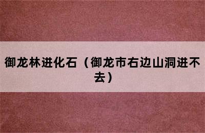 御龙林进化石（御龙市右边山洞进不去）