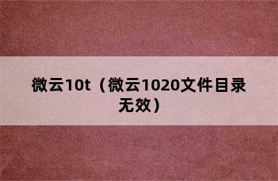 微云10t（微云1020文件目录无效）