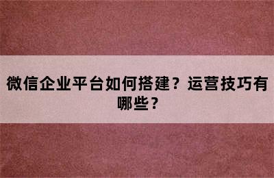 微信企业平台如何搭建？运营技巧有哪些？