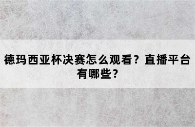 德玛西亚杯决赛怎么观看？直播平台有哪些？