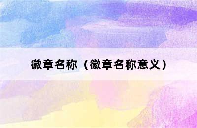 徽章名称（徽章名称意义）