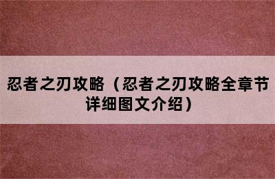 忍者之刃攻略（忍者之刃攻略全章节详细图文介绍）