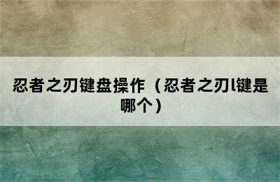 忍者之刃键盘操作（忍者之刃l键是哪个）