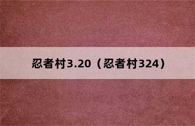 忍者村3.20（忍者村324）