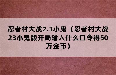 忍者村大战2.3小鬼（忍者村大战23小鬼版开局输入什么口令得50万金币）